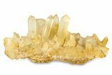 Quartz Crystal Cluster - Spruce Ridge, Washington #301241-1